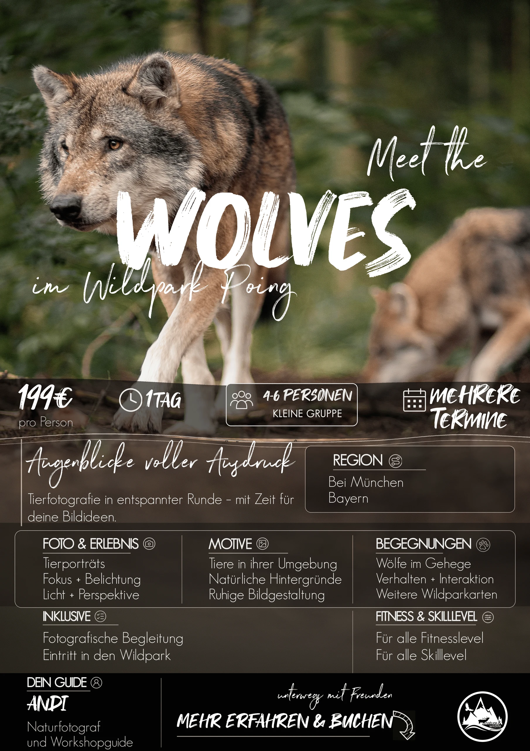 Meet the Wolves · 2027 · Termine folgen