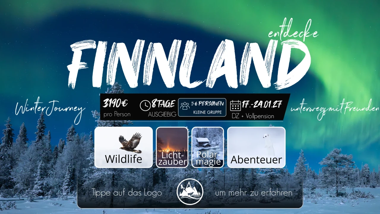 Originalflyer Finnland im Winter 2027