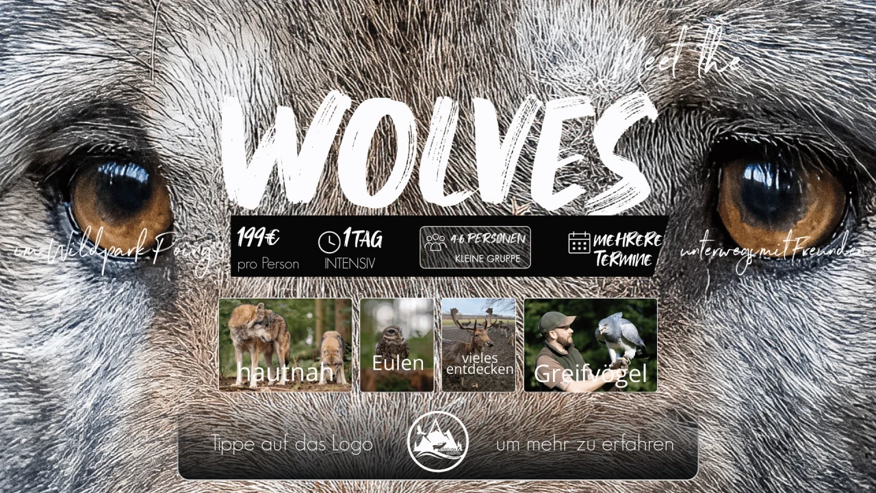 Originalflyer Meet the Wolves 2027
