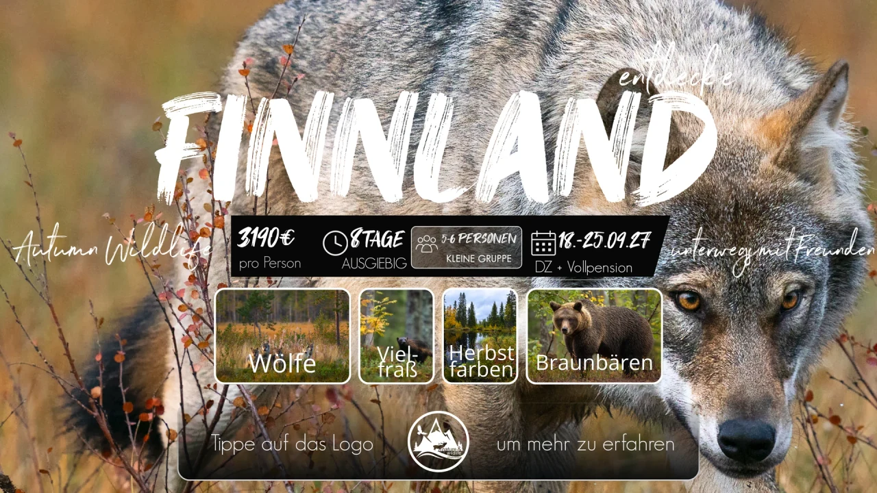 Originalflyer Finnland 2027