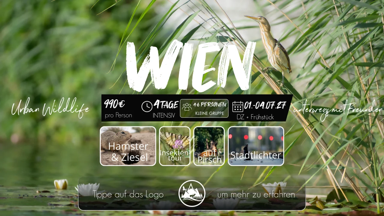 Originalflyer Wien Urban Wildlife 2027
