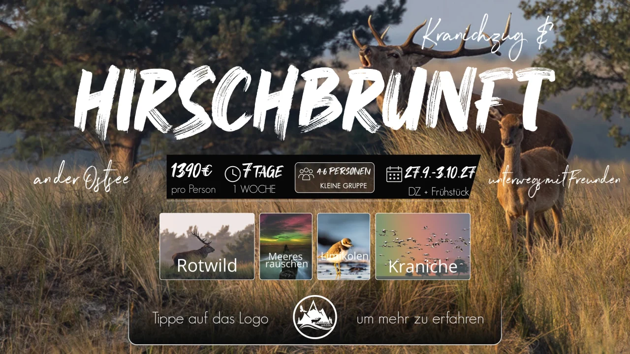 Originalflyer Kranichzug & Hirschbrunft 2027