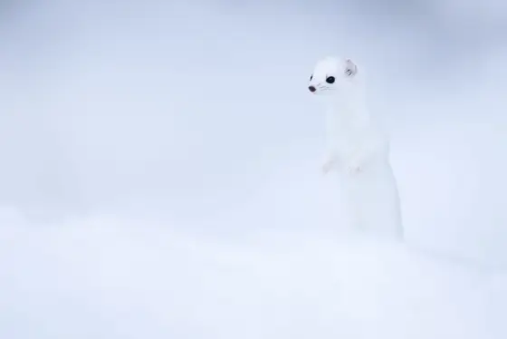 NWPT · Naturfotografie