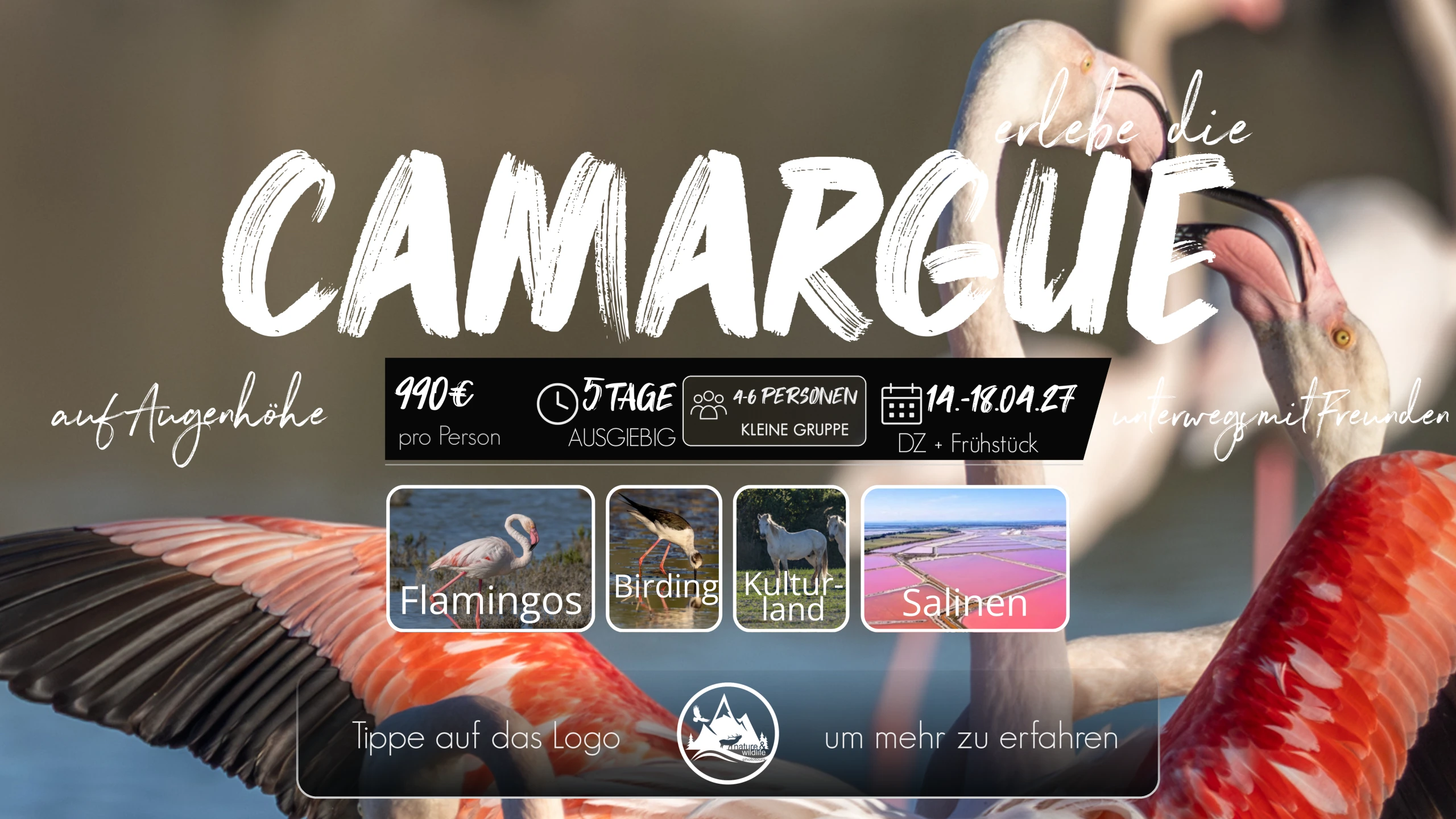 Flyer Camargue