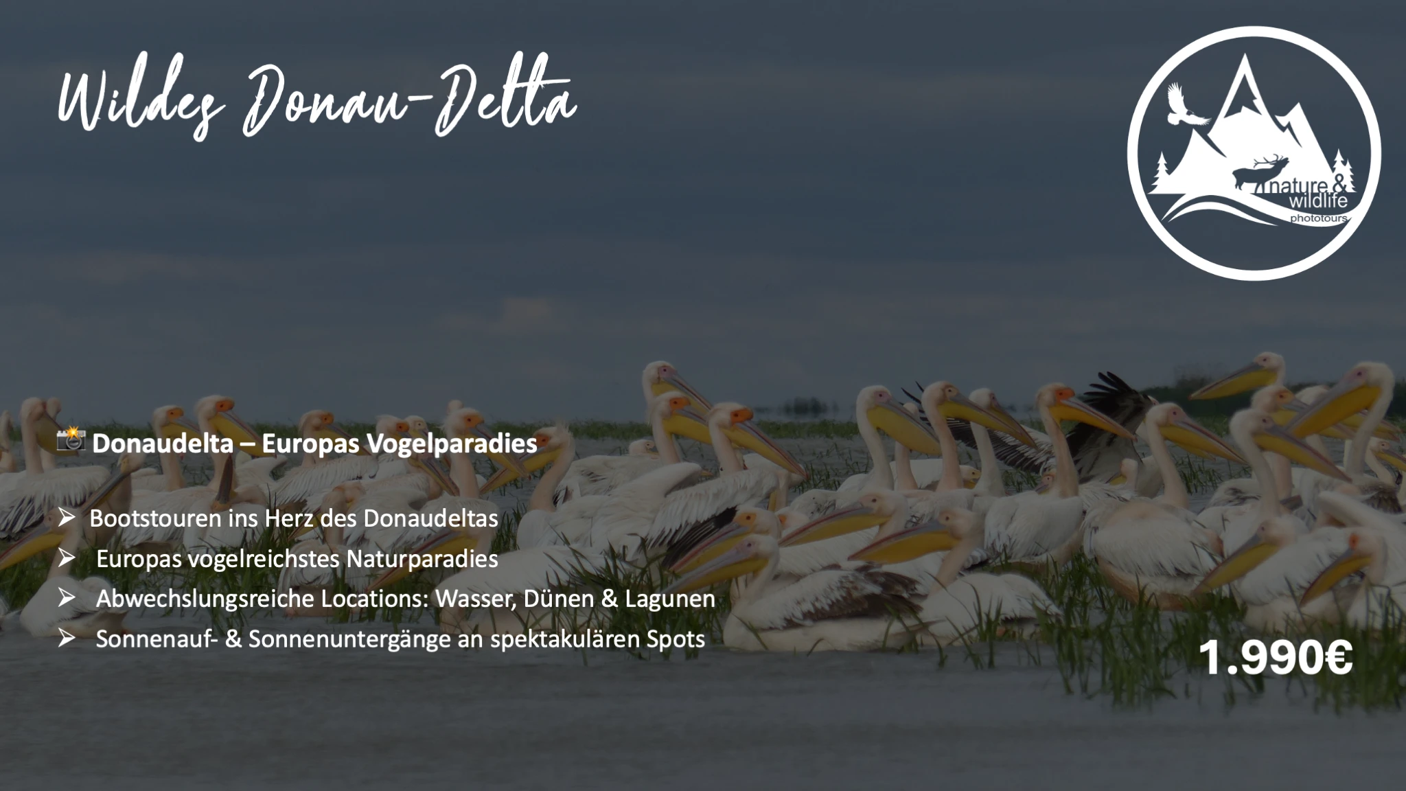 Flyer Wildes Donaudelta