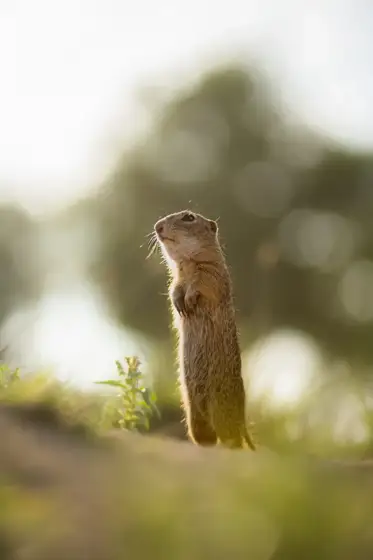 NWPT · Naturfotografie
