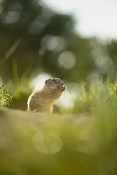 NWPT · Naturfotografie
