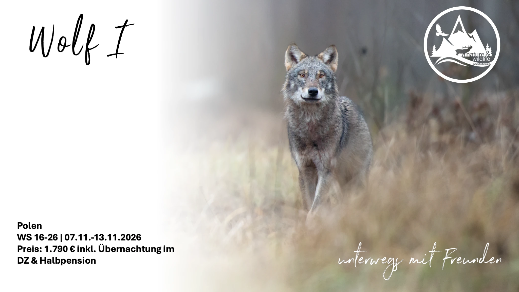 Flyer Wolf & Bison