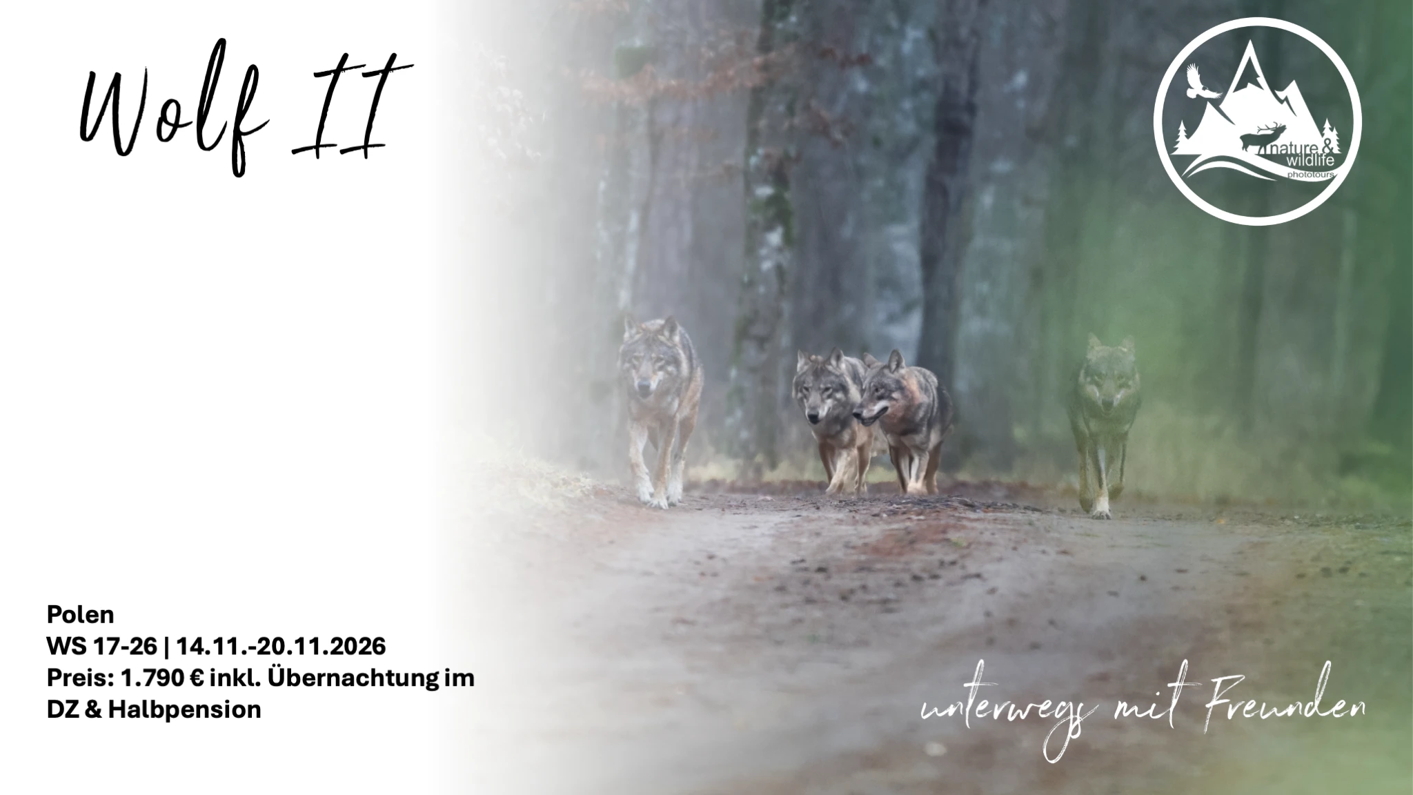 Flyer Wolf & Wisent