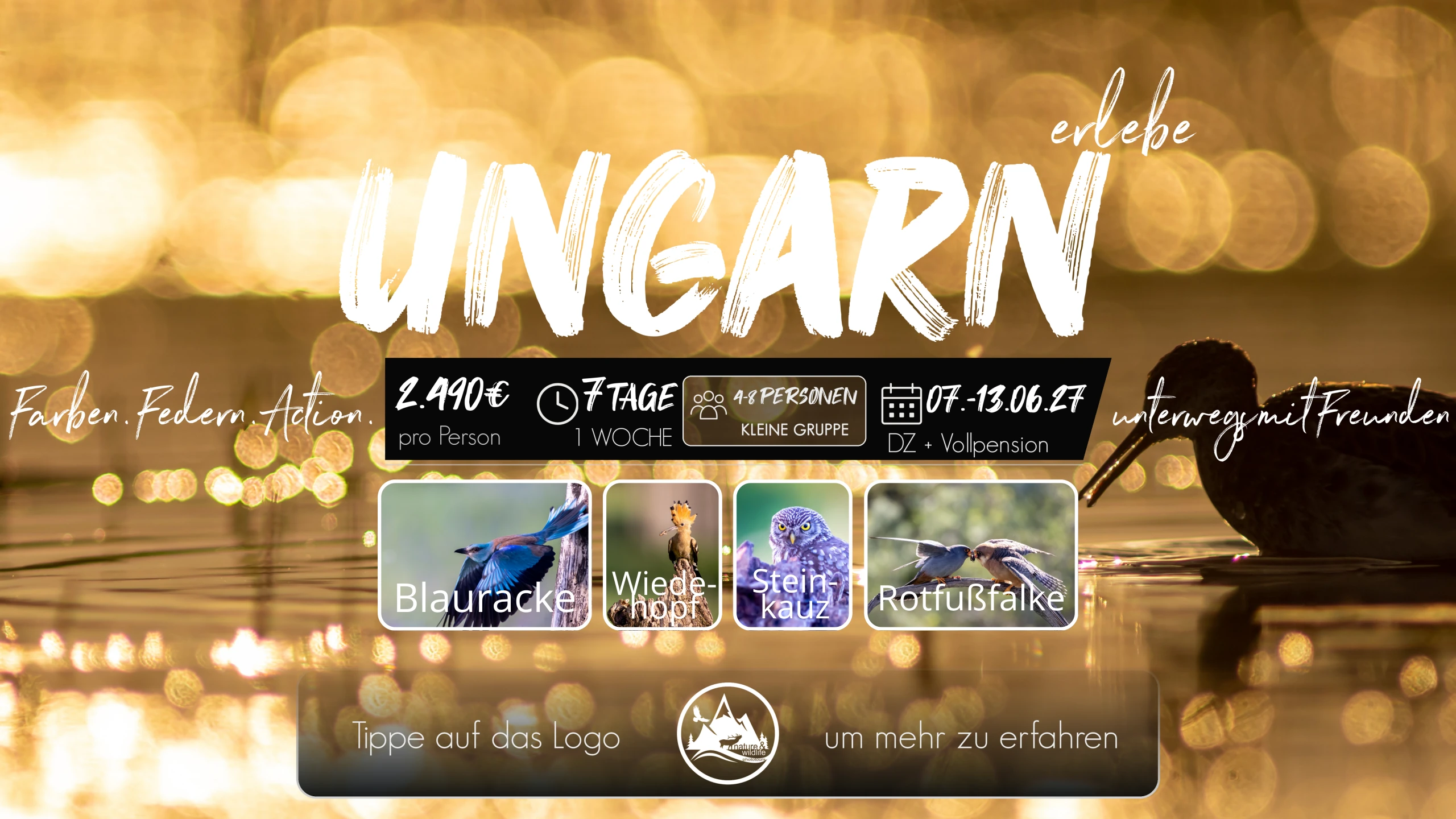 Flyer Ungarn