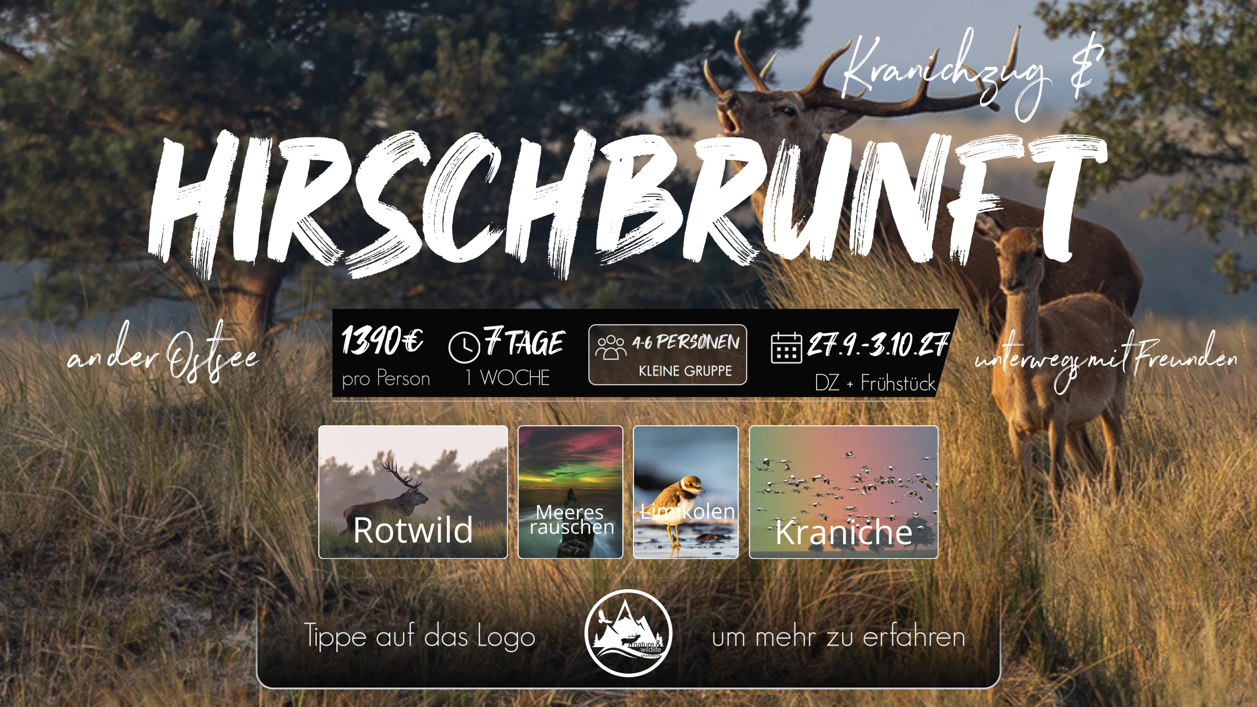 Flyer Kranichzug & Hirschbrunft