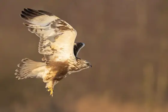 NWPT · Naturfotografie