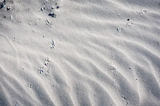 NWPT · Naturfotografie