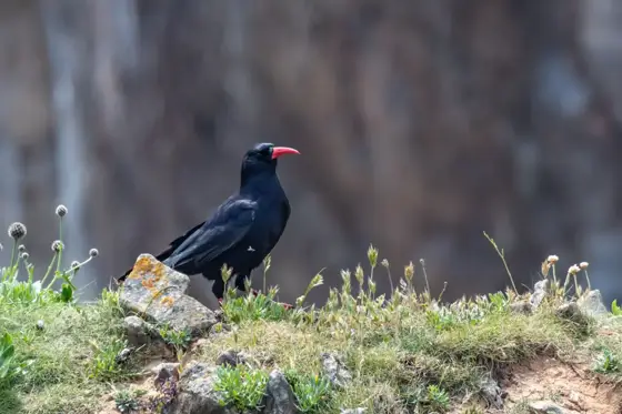 NWPT · Naturfotografie