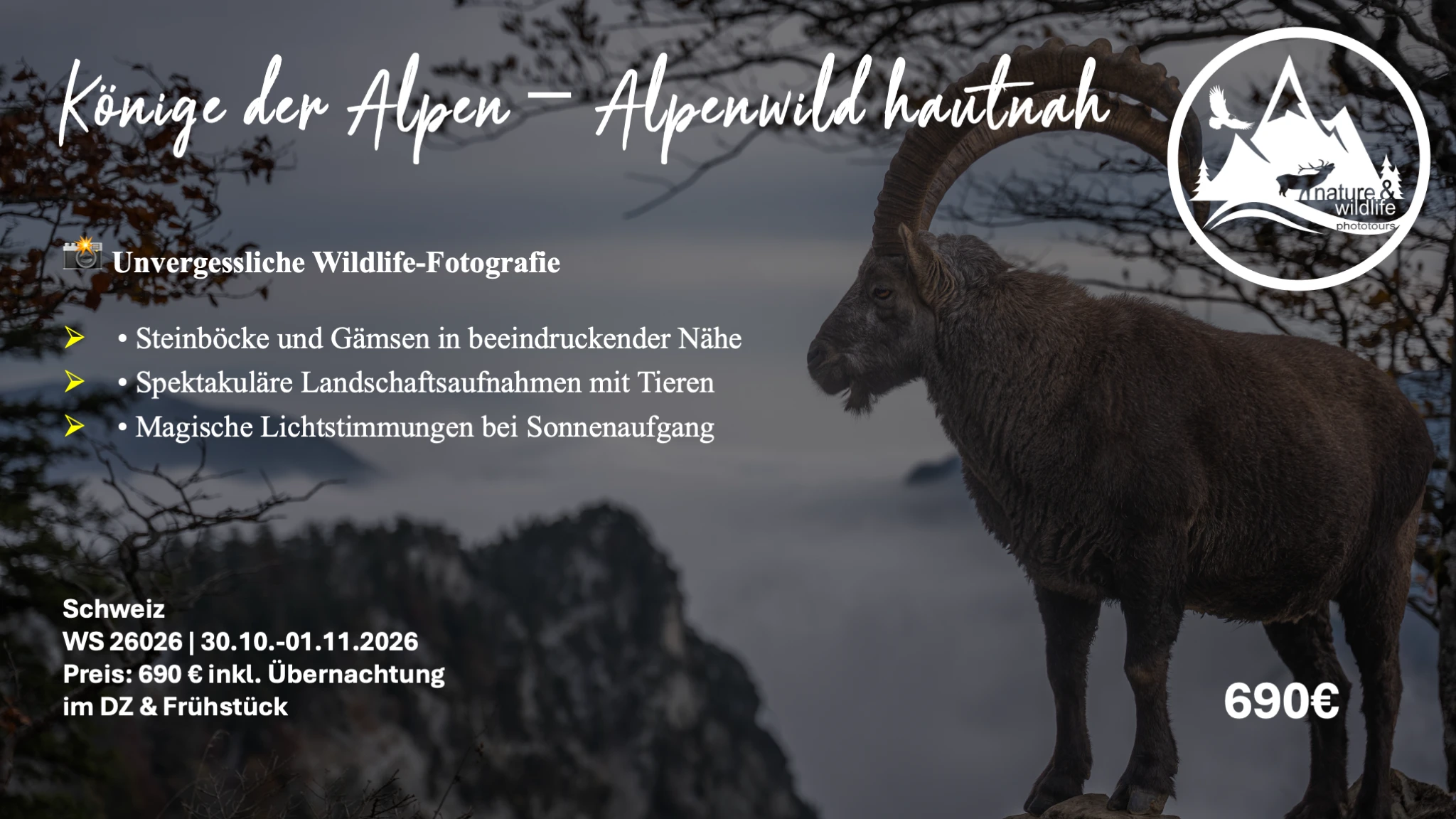 Flyer Könige der Alpen
