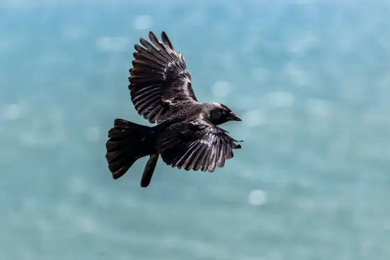 NWPT · Naturfotografie