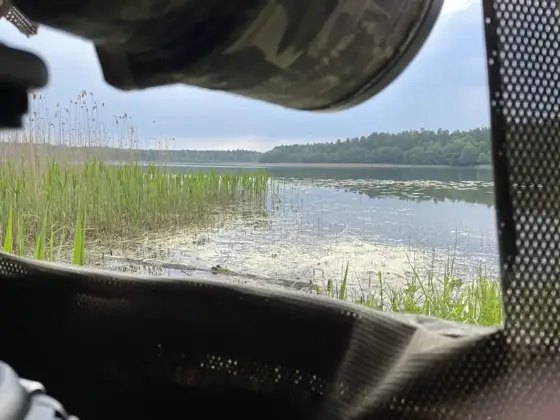 Polen Osprey & Co