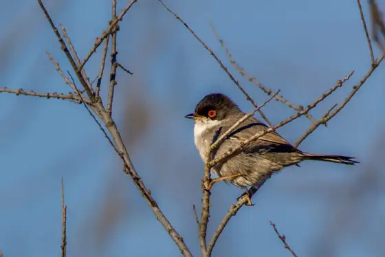 NWPT · Naturfotografie