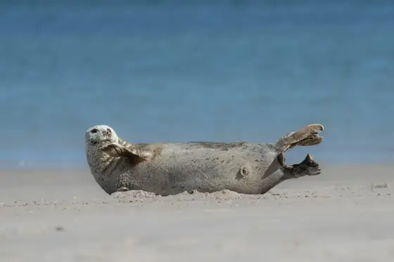 NWPT · Naturfotografie
