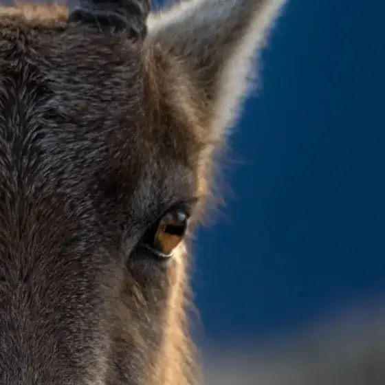 NWPT · Naturfotografie