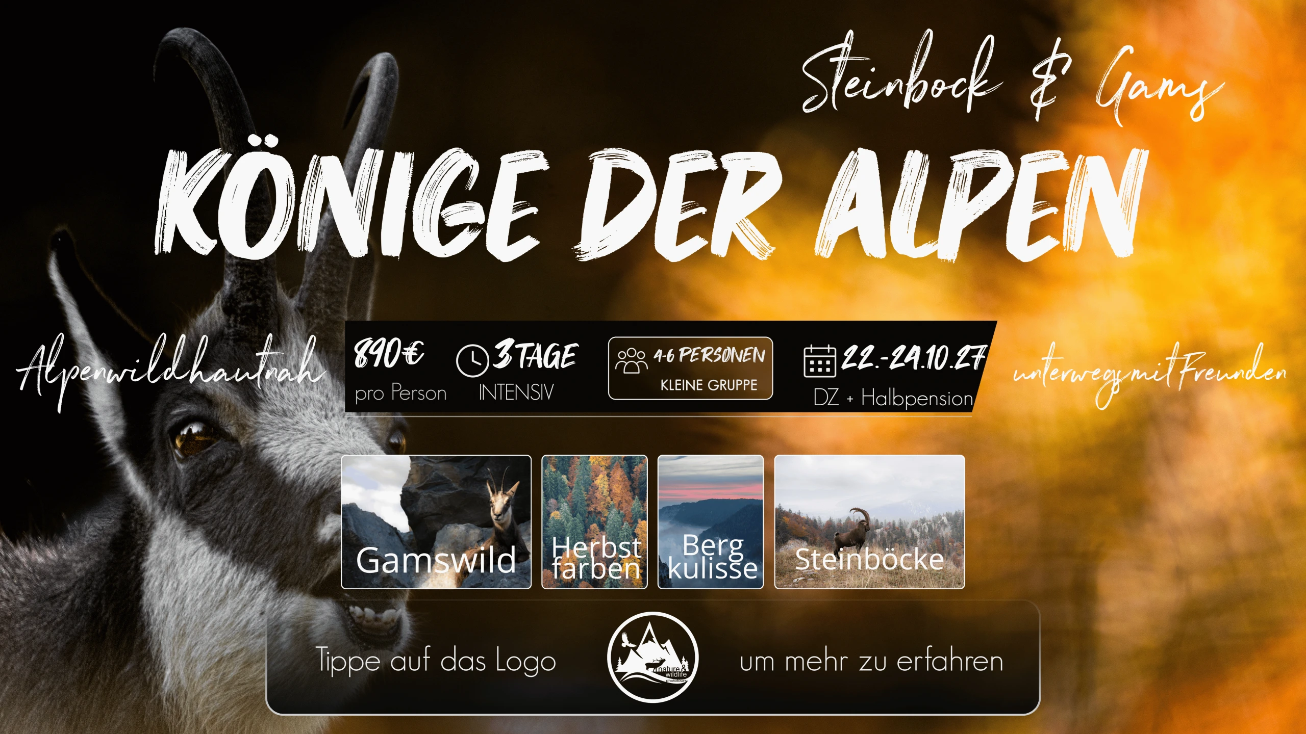 Flyer Könige der Alpen
