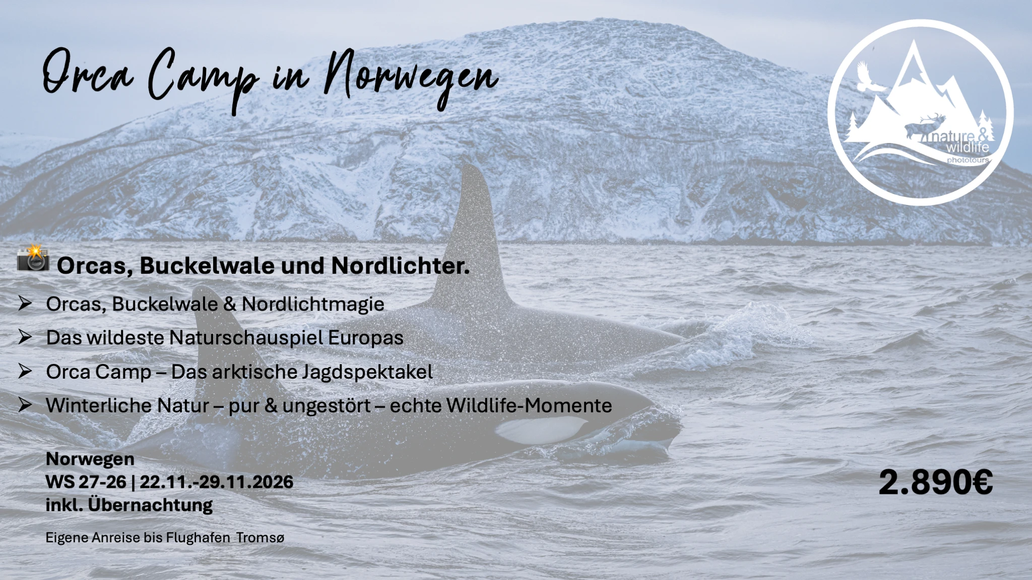 Flyer Orca Camp