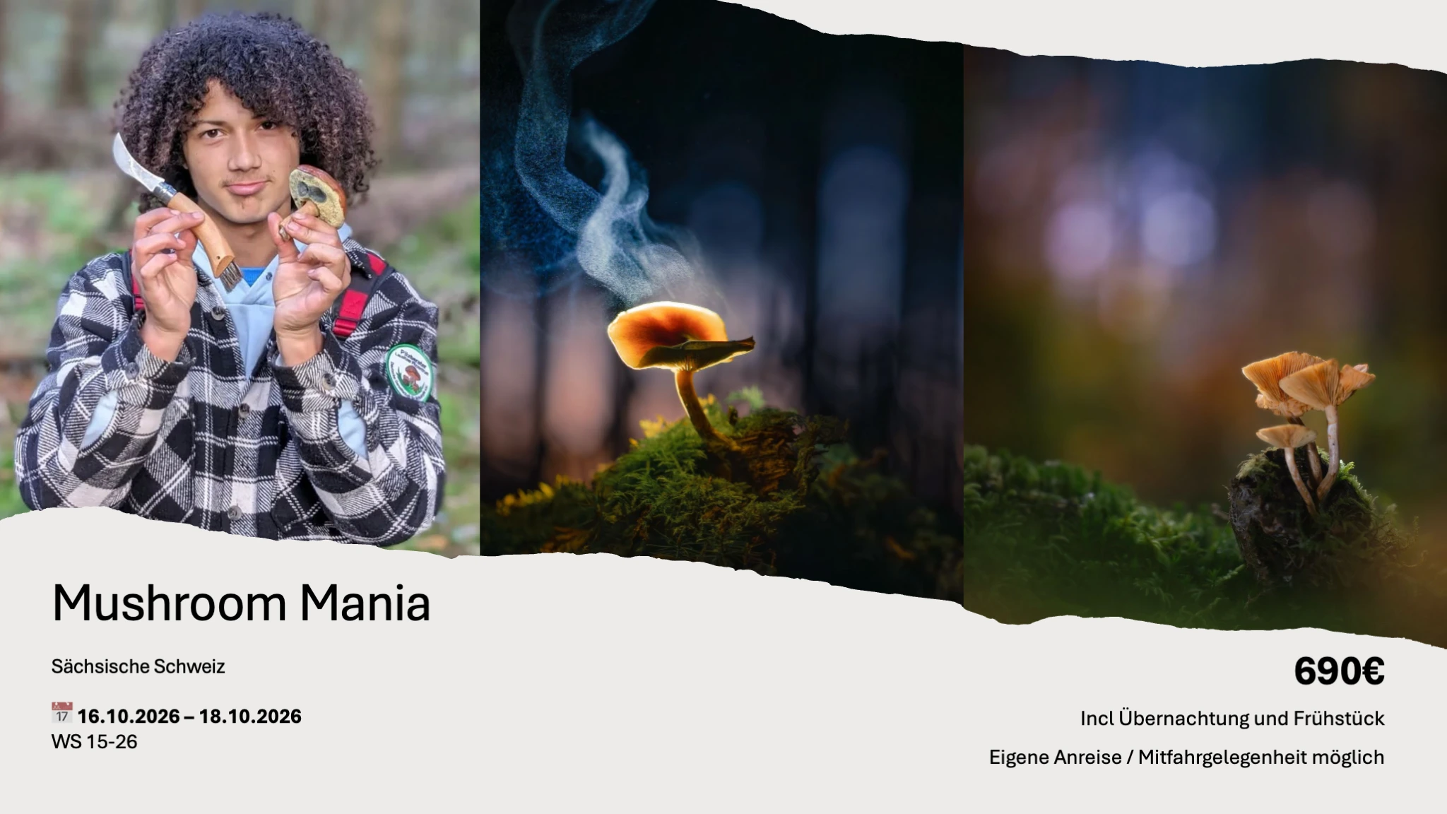 Flyer Mushroom Mania