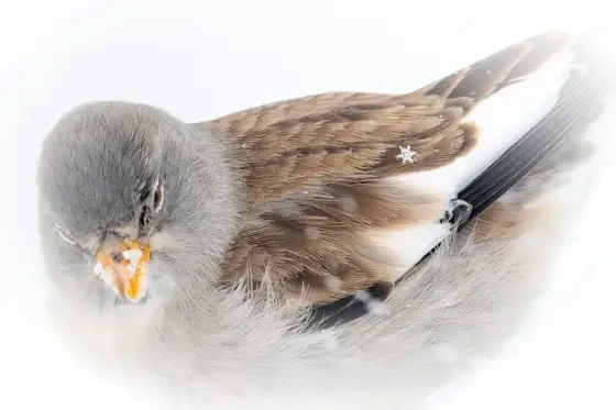 NWPT · Naturfotografie