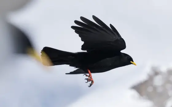 NWPT · Naturfotografie