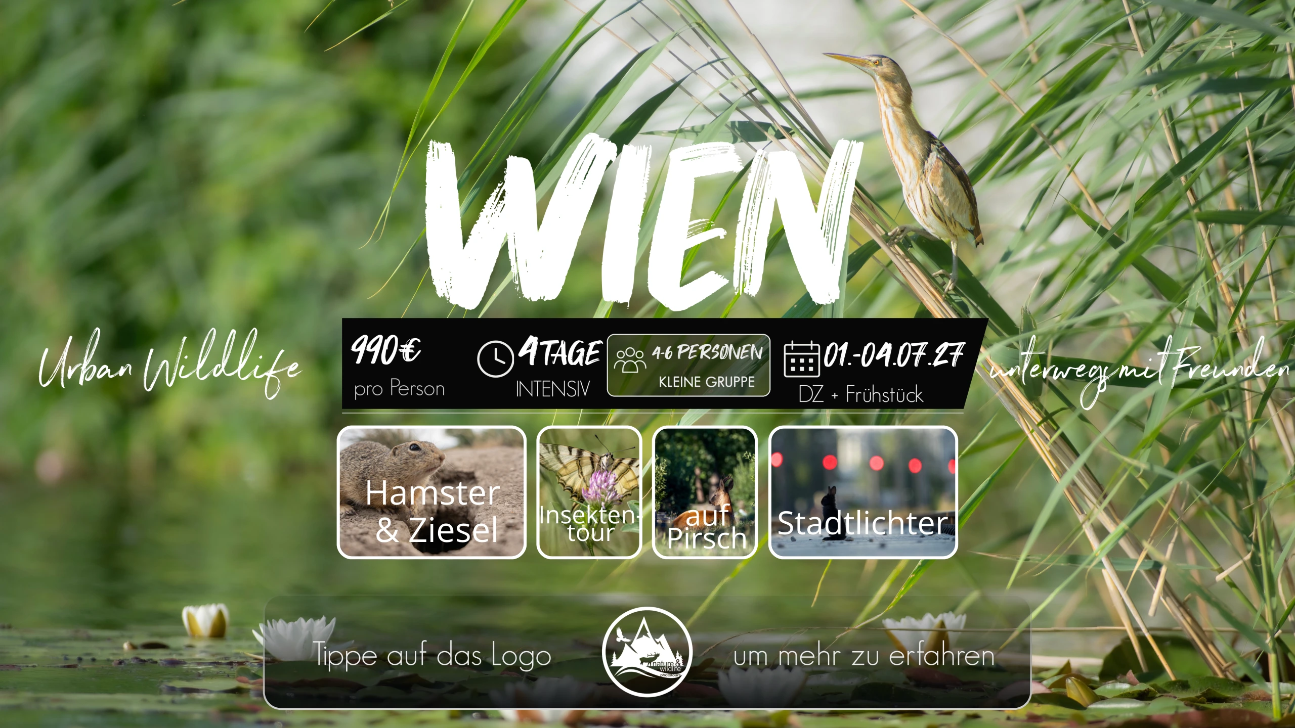 Flyer Wien Urban Wildlife